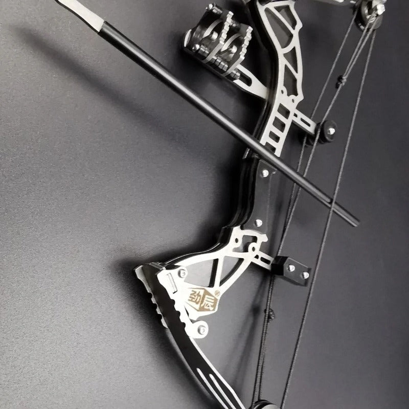 Set arco composto Tiro con l'arco Freccia Campeggio Caccia Piccoli animali