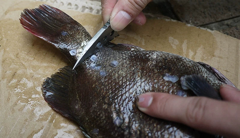 Survival Strike 7CR13M Fishing and Utility Blade Knife Sleeve Multi-Tool