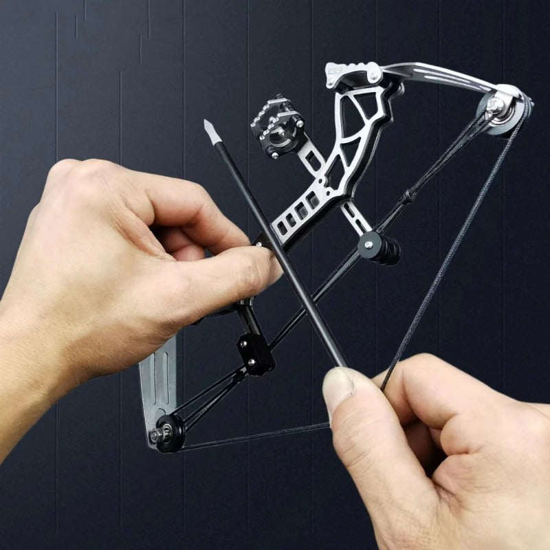 Compound Bow Set Shooting Bow Arrow Camping Hunting Small Animal