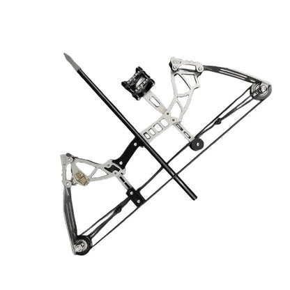 Compound Bow Set Shooting Bow Arrow Camping Hunting Small Animal