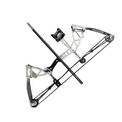 Compound Bow Set Shooting Bow Arrow Camping Hunting Small Animal