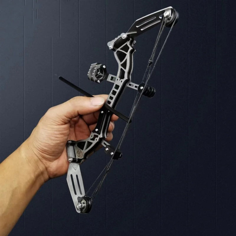 Compound Bow Set Shooting Bow Arrow Camping Hunting Small Animal